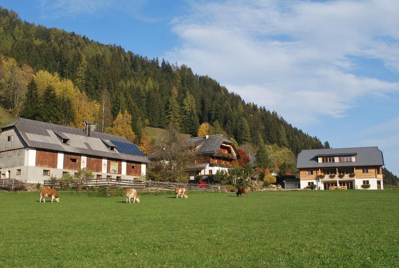 Biohof Seidl Διαμέρισμα Bad Kleinkirchheim Εξωτερικό φωτογραφία